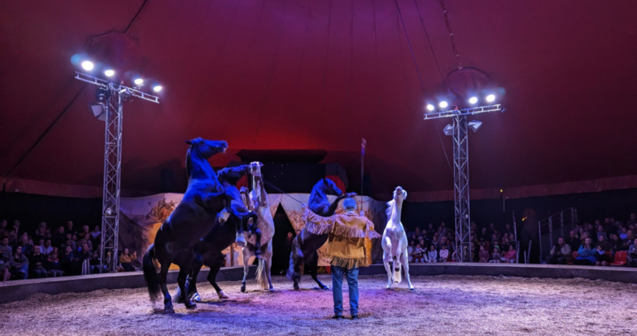 Séjour coffret-cadeau spectacle équestre à Lorient Bretagne Sud, en Morbihan avec Breizhbox®